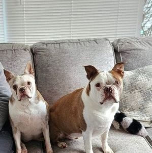 Meet your Posher, Paula